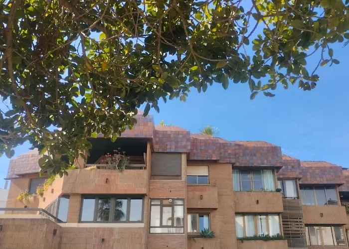 0272 - La Pergola * Platja de Larenal